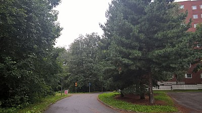 Thumbnail of WP_20160819_08_47_47_Pro.jpg