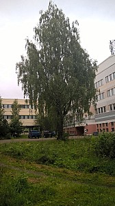 Thumbnail of WP_20160819_08_49_33_Pro.jpg