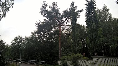 Thumbnail of WP_20160819_08_50_48_Pro.jpg