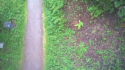 Thumbnail of WP_20160819_08_52_59_Pro.jpg