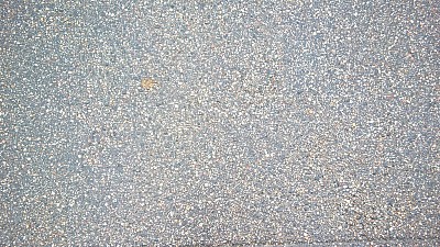 Thumbnail of WP_20160819_08_53_09_Pro.jpg