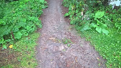 Thumbnail of WP_20160819_08_54_17_Pro.jpg