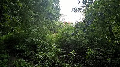 Thumbnail of WP_20160819_08_59_17_Pro.jpg