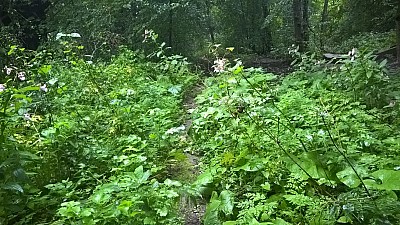 Thumbnail of WP_20160819_09_00_01_Pro.jpg