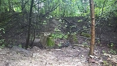 Thumbnail of WP_20160819_09_00_36_Pro.jpg