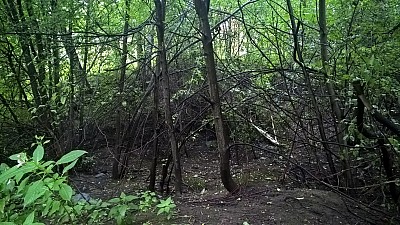 Thumbnail of WP_20160819_09_00_49_Pro.jpg