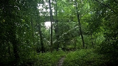 Thumbnail of WP_20160819_09_01_20_Pro.jpg