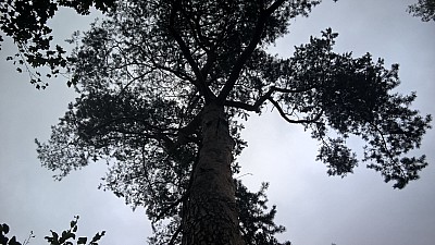 Thumbnail of WP_20160819_09_03_10_Pro.jpg