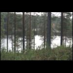 IMG_1756.jpg