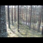 IMG_2435.JPG