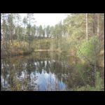 IMG_2449.JPG