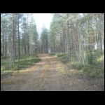 IMG_2456.JPG