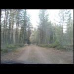 IMG_2459.JPG