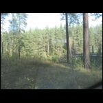 IMG_2481.JPG