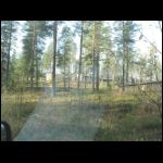 IMG_2484.JPG