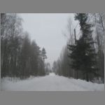IMG_4306.JPG