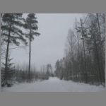 IMG_4307.JPG