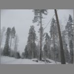 IMG_4309.JPG