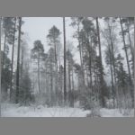 IMG_4310.JPG