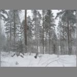 IMG_4311.JPG