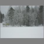IMG_4318.JPG