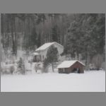 IMG_4334.JPG