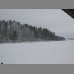 IMG_4337.JPG