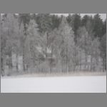 IMG_4344.JPG
