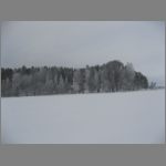 IMG_4354.JPG