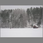 IMG_4355.JPG