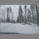 IMG_4365.JPG