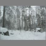 IMG_4366.JPG