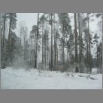 IMG_4367.JPG