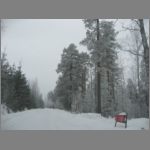IMG_4368.JPG