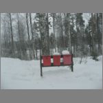 IMG_4369.JPG