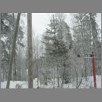 IMG_4370.JPG