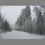 IMG_4373.JPG