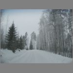 IMG_4374.JPG