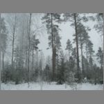 IMG_4375.JPG