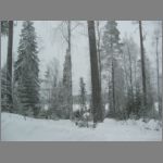 IMG_4376.JPG