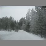 IMG_4377.JPG