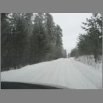 IMG_4394.JPG