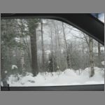 IMG_4395.JPG