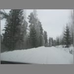 IMG_4396.JPG
