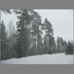 IMG_4397.JPG