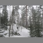 IMG_4402.JPG