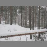 IMG_4418.JPG