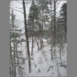 IMG_4426.JPG