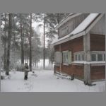 IMG_4440.JPG