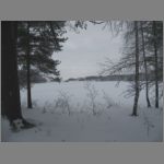 IMG_4453.JPG